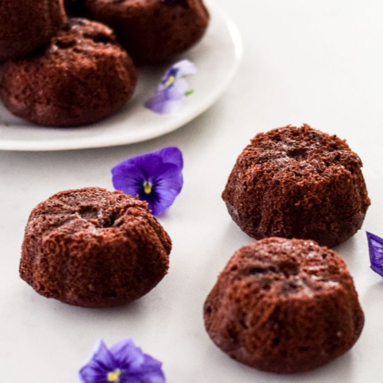 Double Chocolate Blueberry Muffins